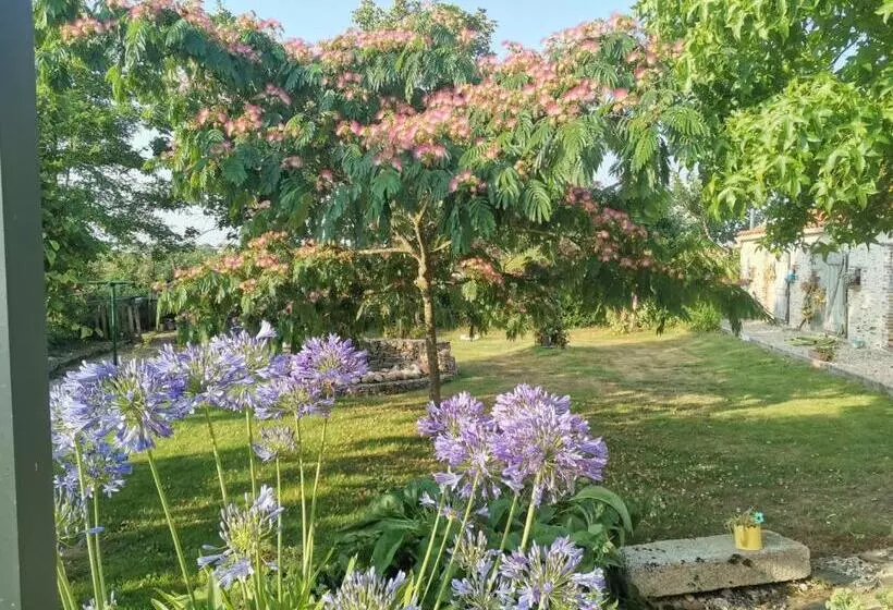 Majatalo Chambres D Hôtes Dinedort