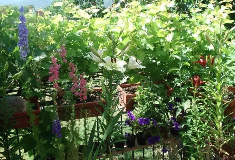 ベッドアンドブレックファースト Abruzzo Segreto