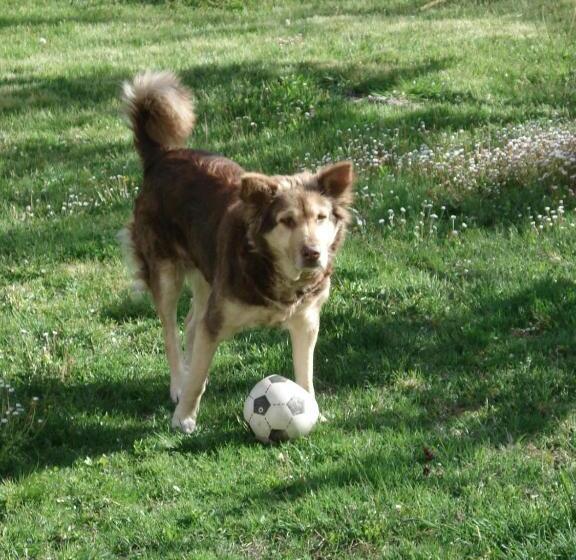 ベッドアンドブレックファースト Abruzzo Segreto