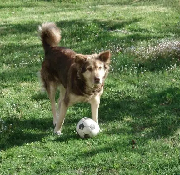 ベッドアンドブレックファースト Abruzzo Segreto