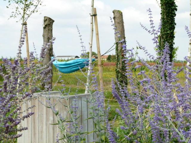 مبيت وإفطار Le Briou