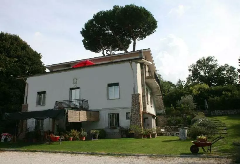 Bed and Breakfast Patrian