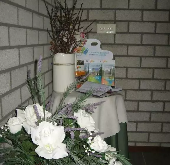 Aamiaismajoitus (B&B) Rustpunt Groote Heide