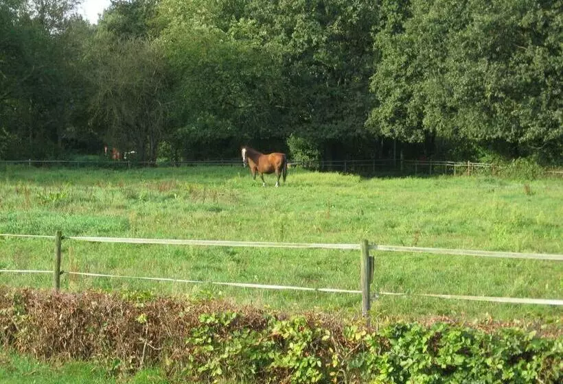 Aamiaismajoitus (B&B) Rustpunt Groote Heide