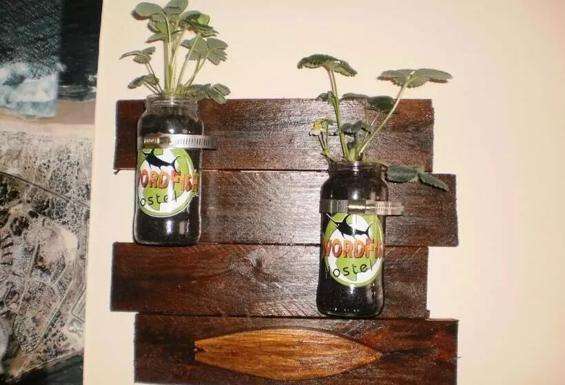 Aamiaismajoitus (B&B) Swordfish Eco House Peniche