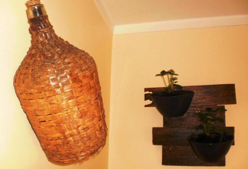 تختخواب و صبحانه Swordfish Eco House Peniche