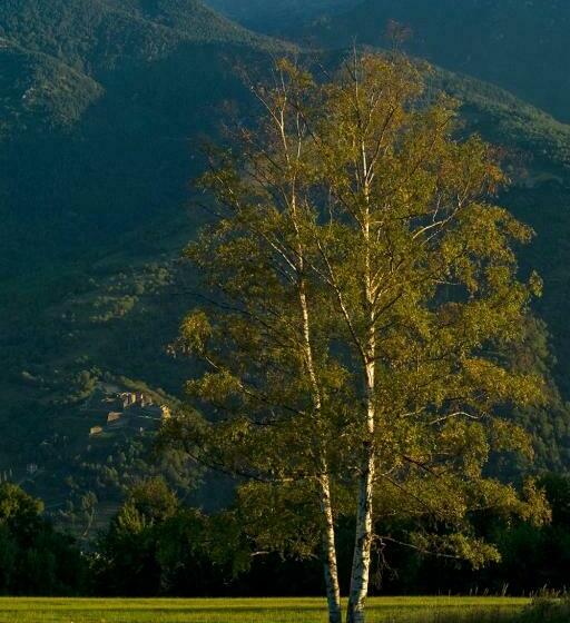 ペンション El Casal