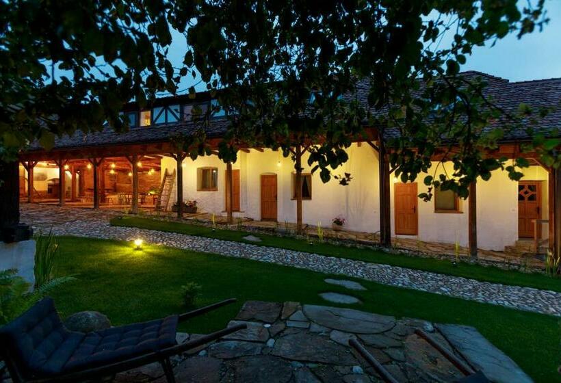 Пансион Viscri 44