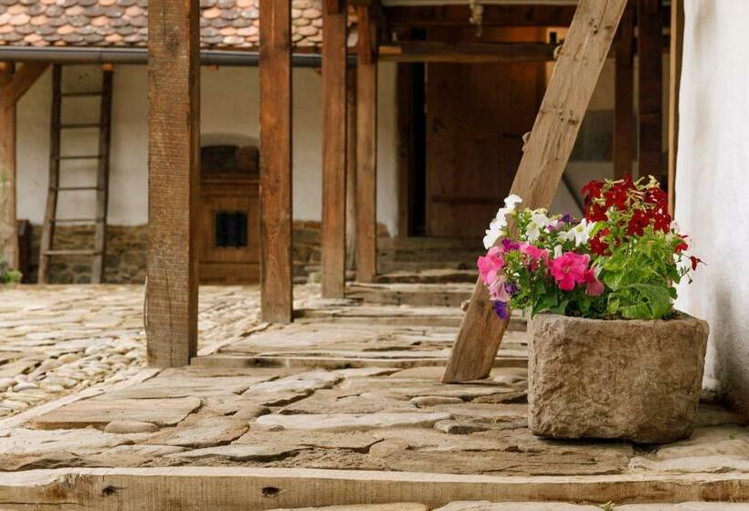 Пансион Viscri 44