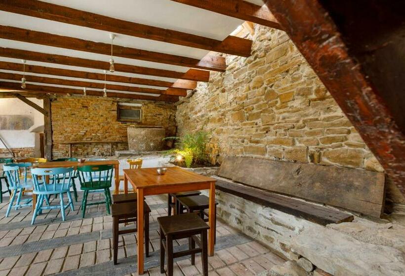 Пансион Viscri 44