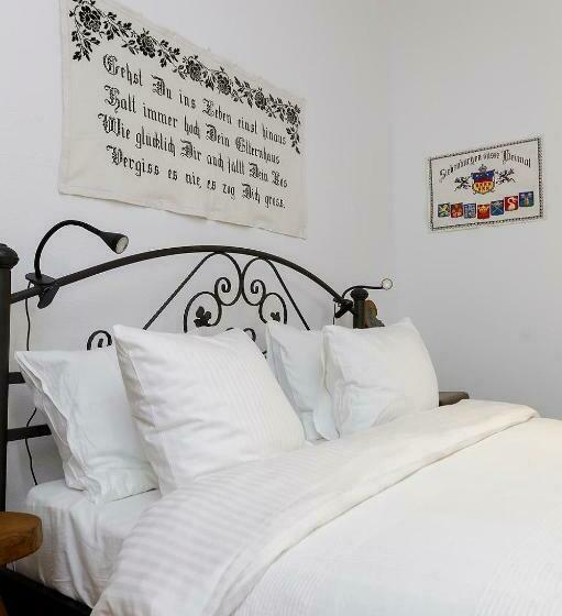 Пансион Viscri 44