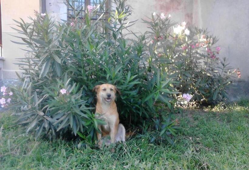 B&b Castello Di Camerletto