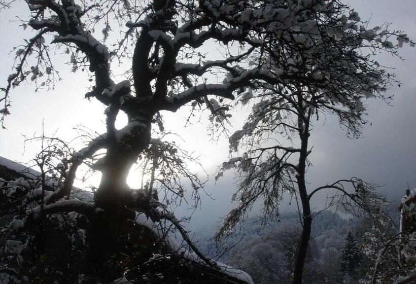 Bed and Breakfast Bnb Hasatrog Jenaz