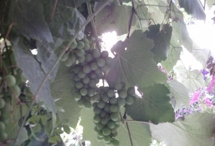 צימר Il Giardino Di Tonia   Oplontis Guest House   Bed & Garden