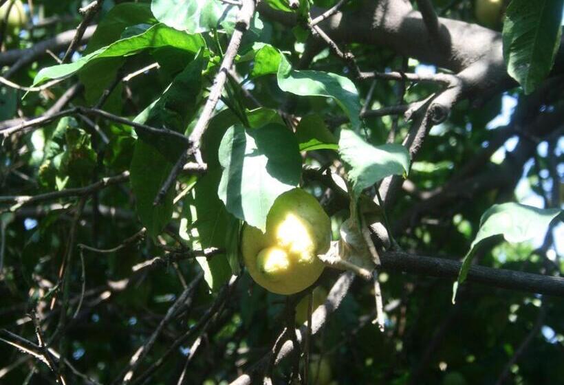 צימר Il Giardino Di Tonia   Oplontis Guest House   Bed & Garden