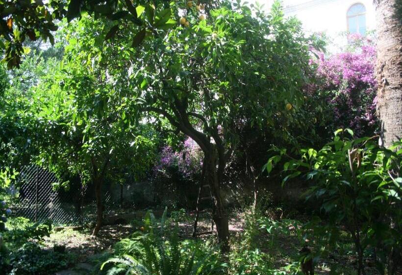 צימר Il Giardino Di Tonia   Oplontis Guest House   Bed & Garden