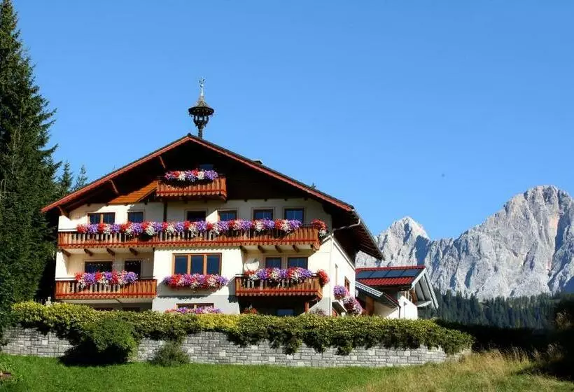 ベッドアンドブレックファースト Pension Felsenheim