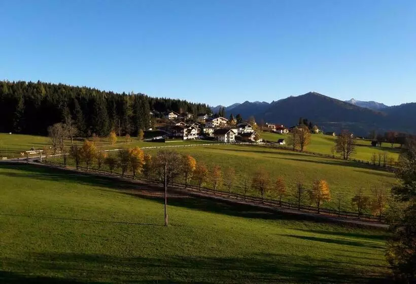 ベッドアンドブレックファースト Pension Felsenheim