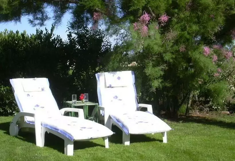 Aamiaismajoitus (B&B) Vignoble