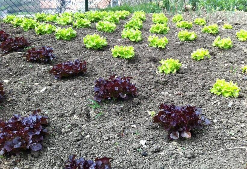 ペンション Agroturismo Izarre