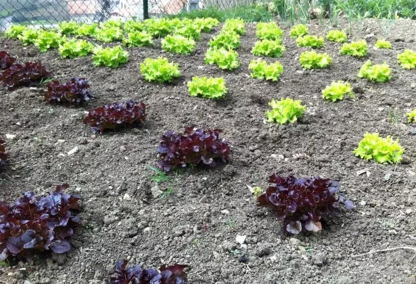 Majatalo Agroturismo Izarre