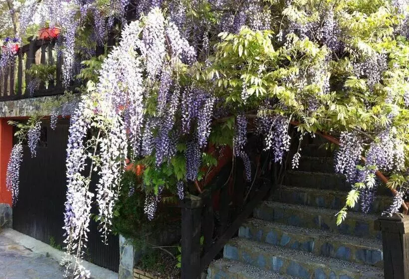 Majatalo Agroturismo Izarre