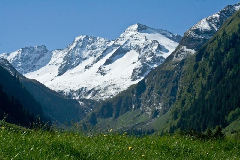 Пансион Gästehaus Hochwimmer