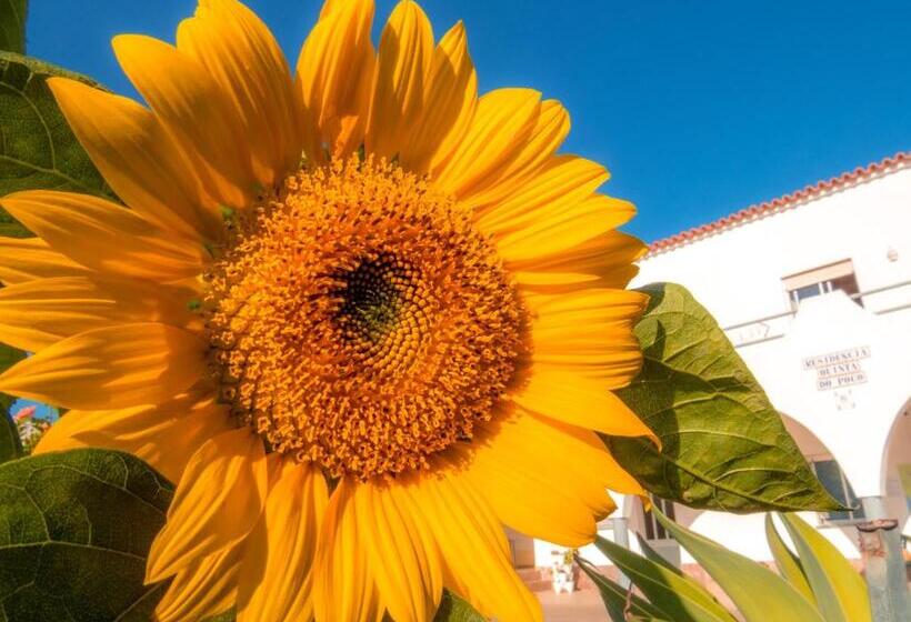 پانسیون Residencia Quinta Do Poço Guesthouse