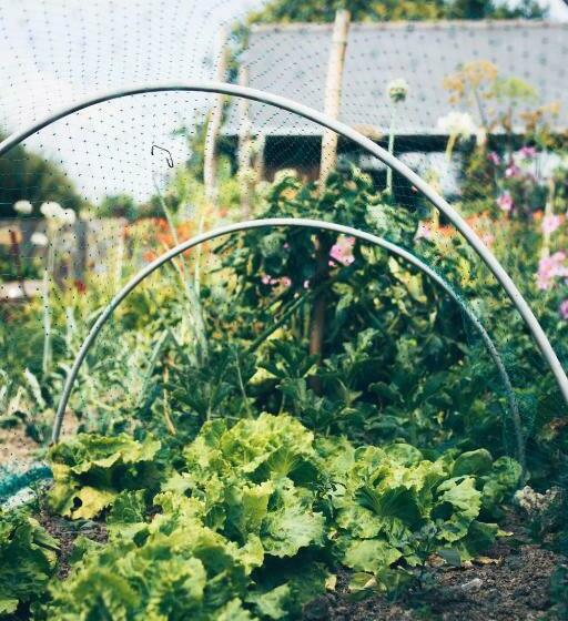 ベッドアンドブレックファースト Chambres D Hôtes Le Clos D Enhaut