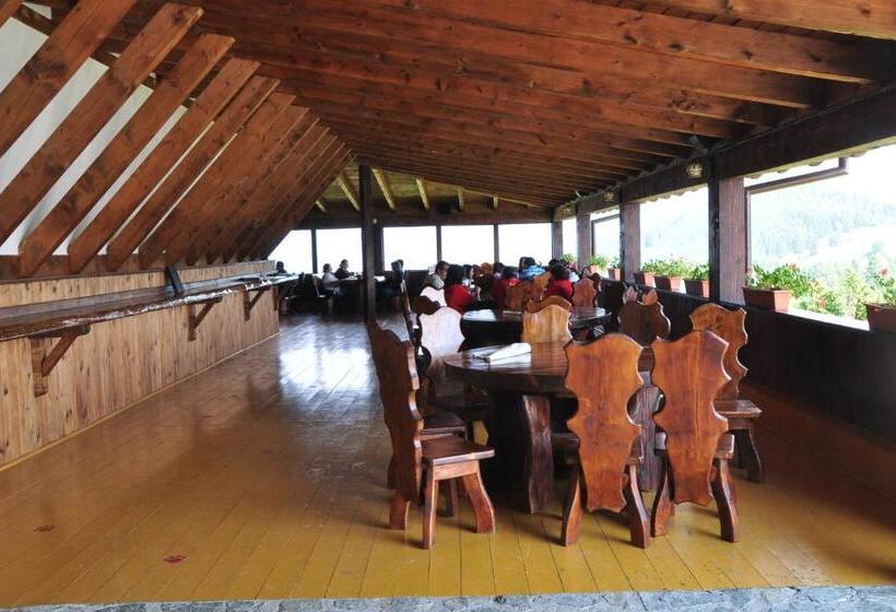 Cheile Gradistei Fundata Resort