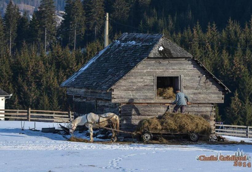 Cheile Gradistei Fundata Resort