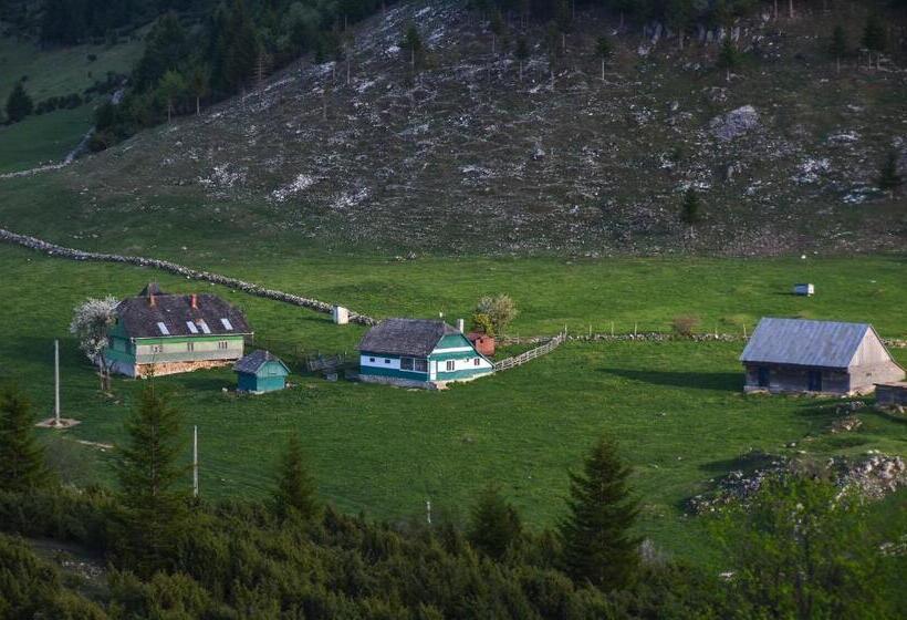 Cheile Gradistei Fundata Resort