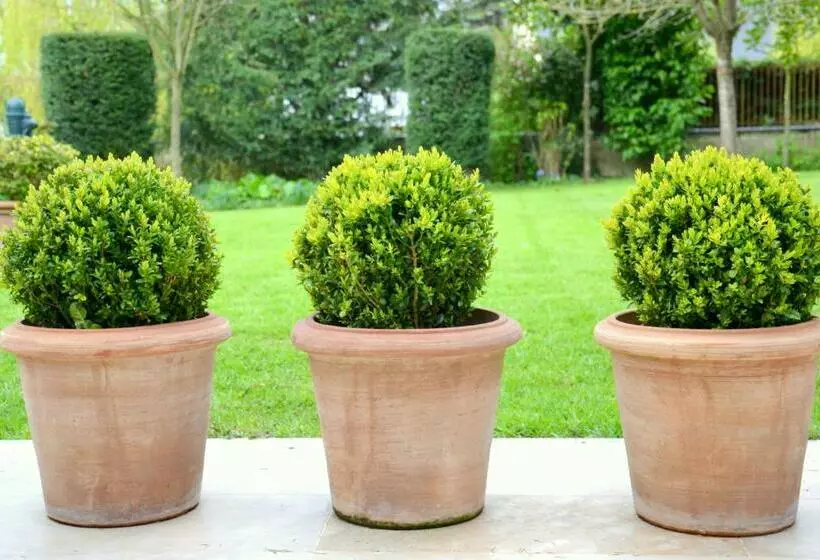 Clos De Bellefontaine B&b