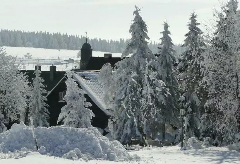 Hotelli Bozi Dar   Excalibur