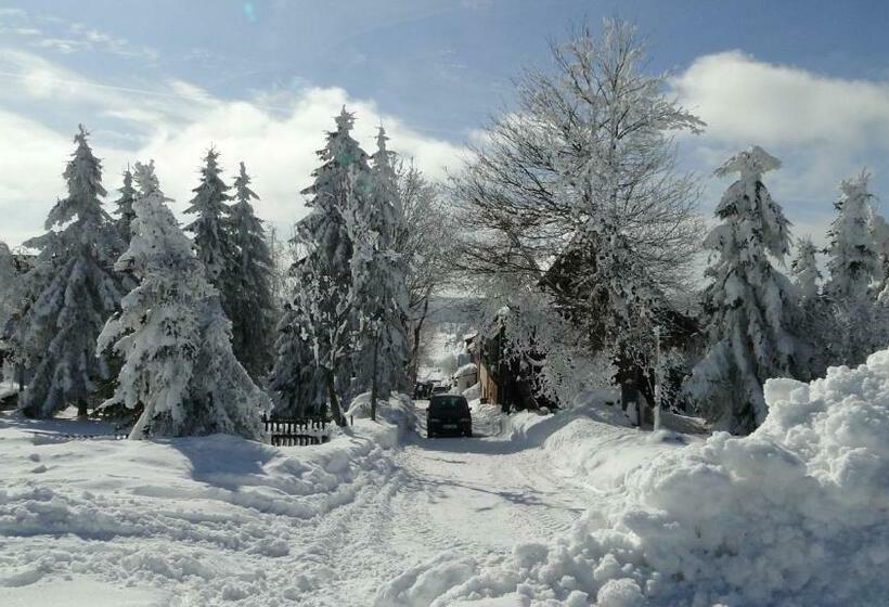 酒店 Bozi Dar   Excalibur