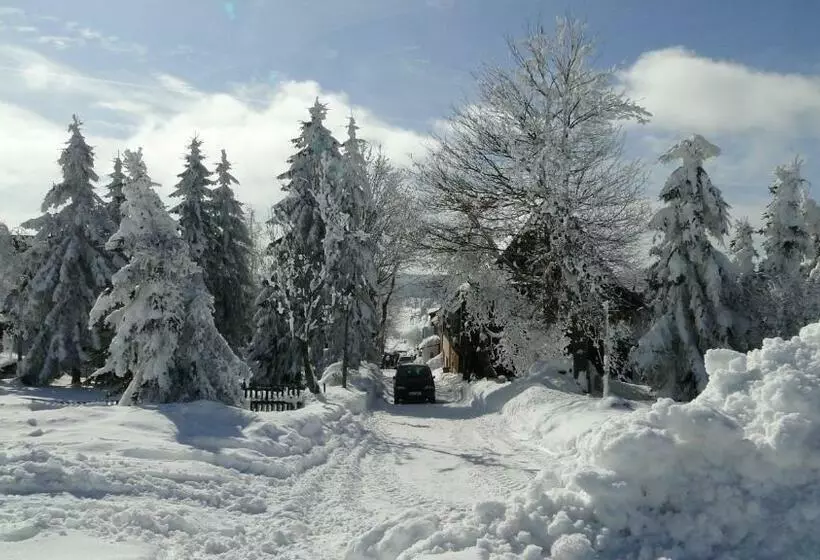 Hotelli Bozi Dar   Excalibur