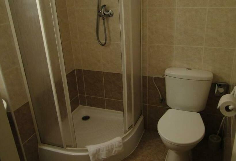 酒店 Bozi Dar   Excalibur