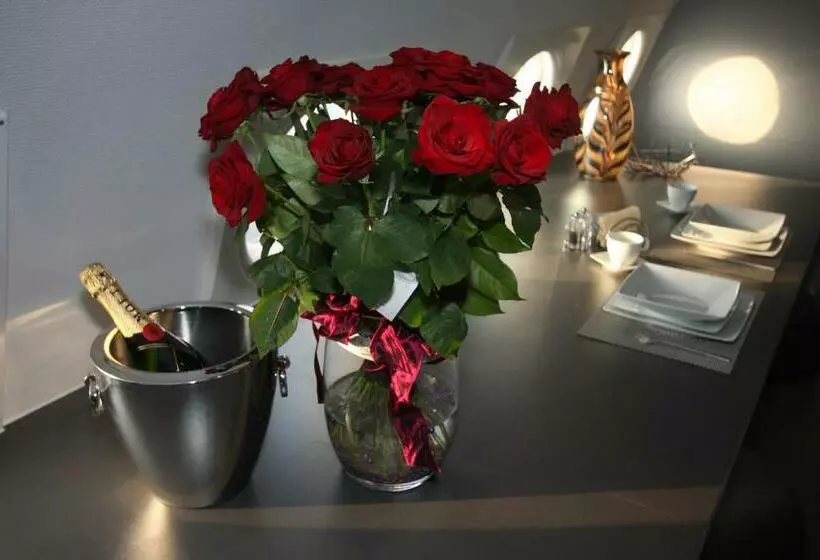 ホテル Vliegtuigsuite Teuge