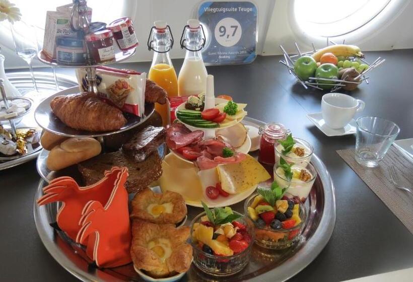 בית מלון כפרי Vliegtuigsuite Teuge