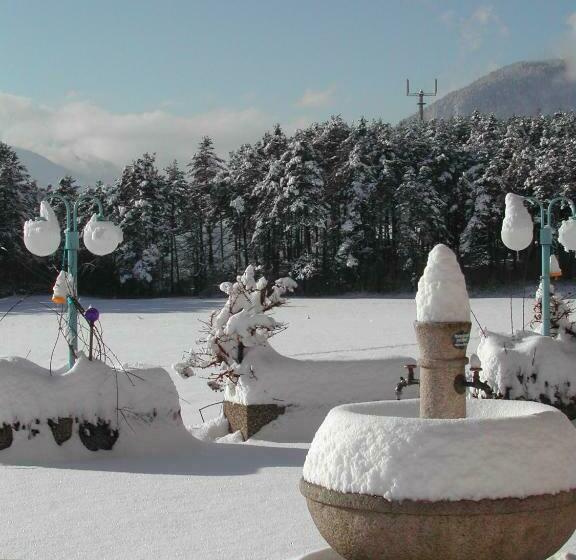 膳宿费 Apart Haselwanter