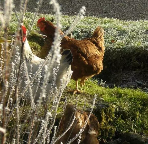 Majatalo Cerdyn Villa