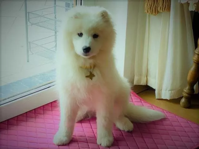 Majatalo Ferienhaus Kramser