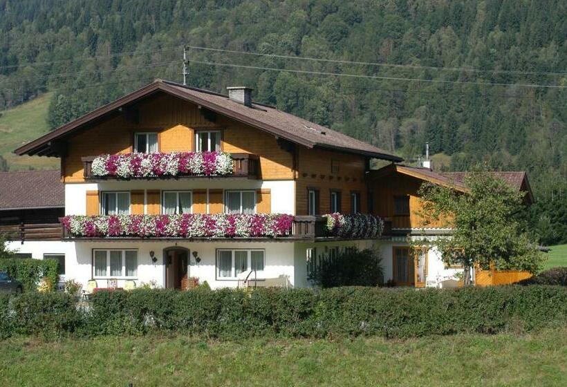 ペンション Haus Dachstein Schnitzer