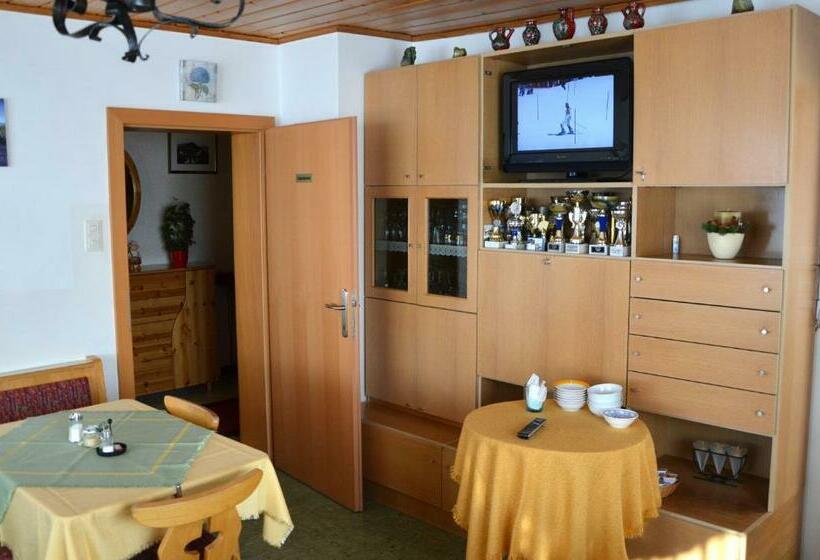 ペンション Haus Dachstein Schnitzer