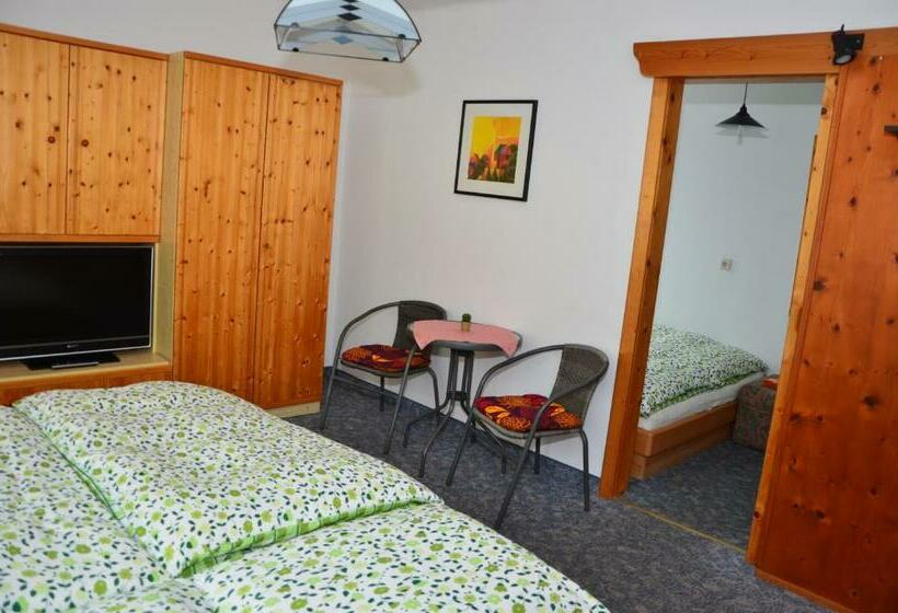 ペンション Haus Dachstein Schnitzer