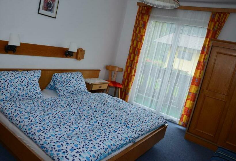 ペンション Haus Dachstein Schnitzer