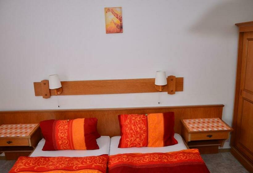 ペンション Haus Dachstein Schnitzer