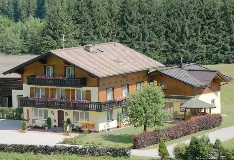 ペンション Haus Dachstein Schnitzer