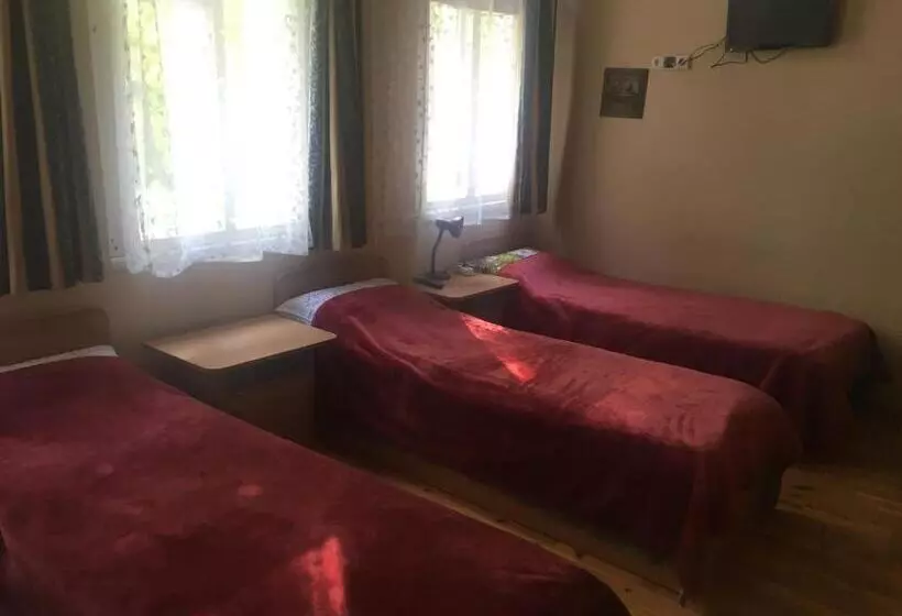 پانسیون Parko Vila