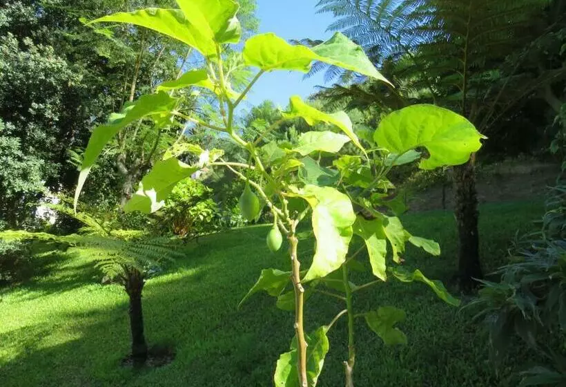 ペンション Solar Do Carvalho